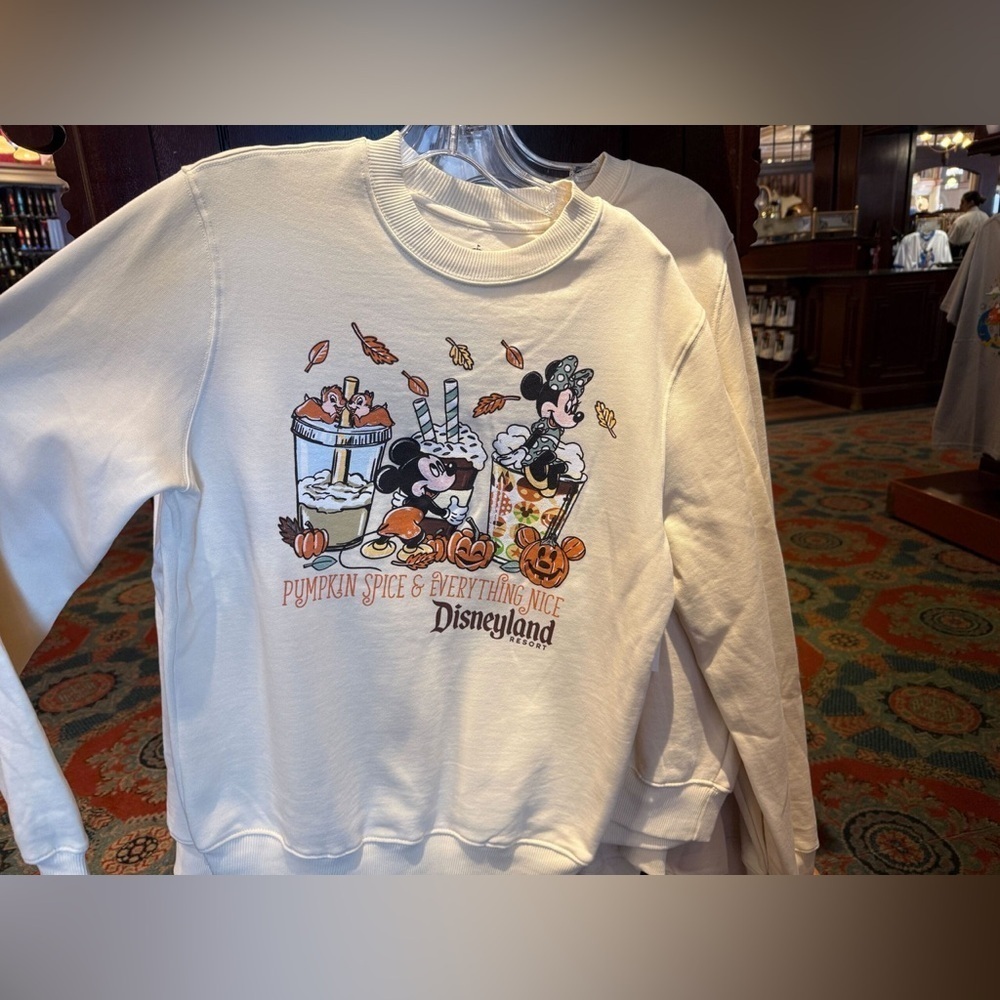 New Disneyland Pumpkin Spice Sweatshirt size S